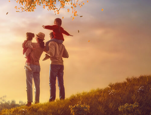 İdeal Aile